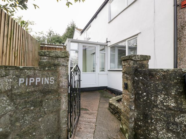 Pippins - 966511 - photo 2