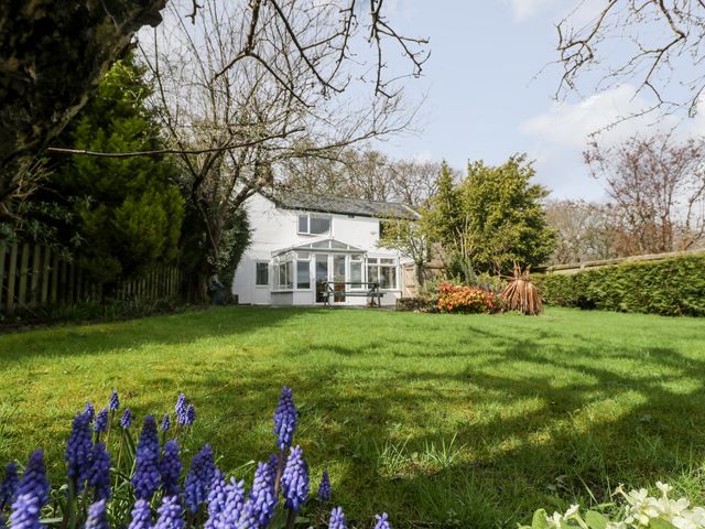 A garden with green grass and flowers in front of a white house with a glass conservatory at Pippins in Bream