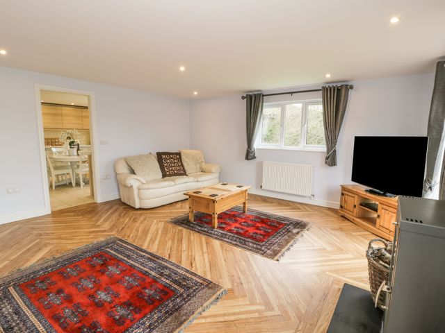Nant Y Felin Lodge - 967064 - photo 4