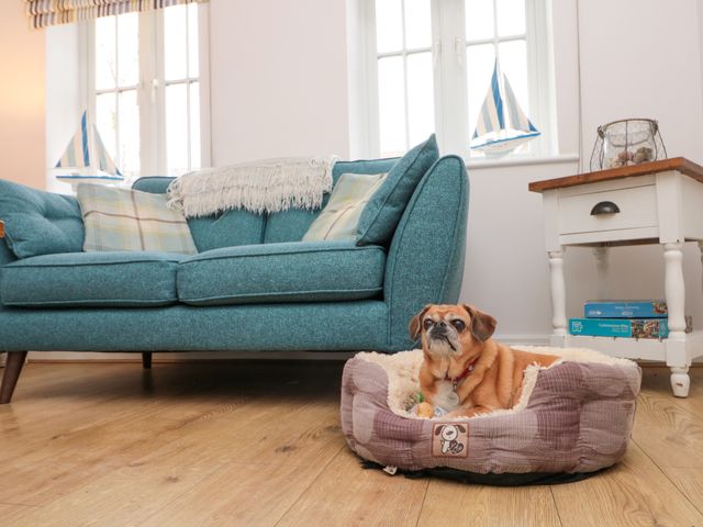 Dotty's Sunshine Cottage - 967801 - photo 5