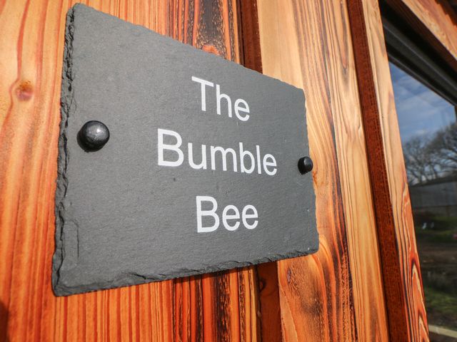 The Bumblebee - 967847 - photo 3