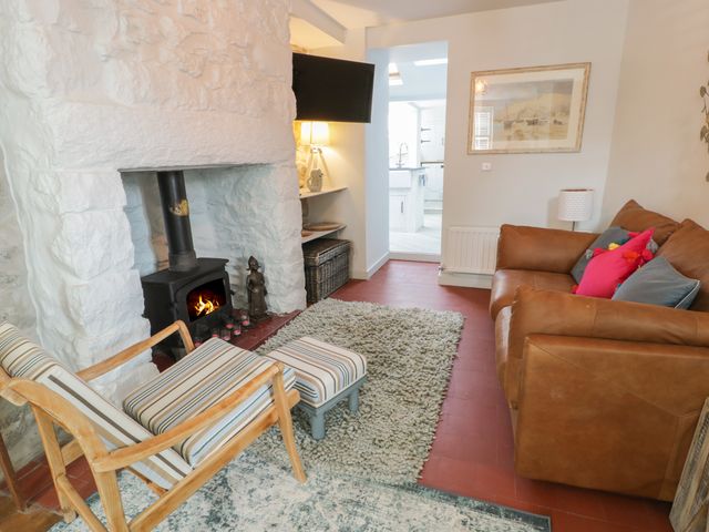 Llawenfan - 968409 - photo 3