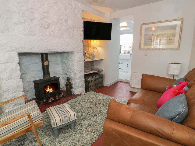 Llawenfan - 968409 - photo 4
