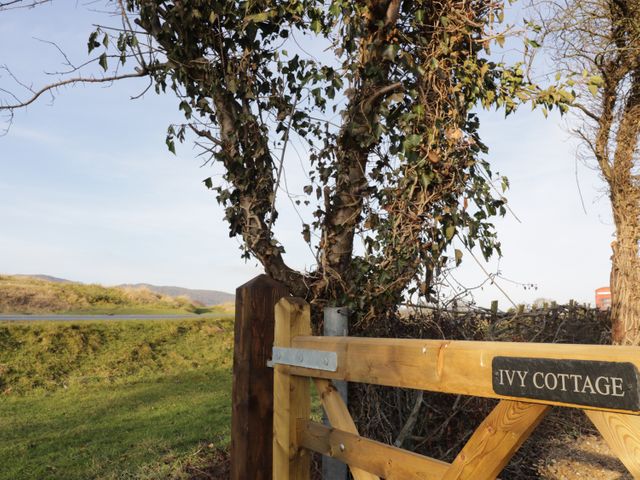 Ivy Cottage - 969572 - photo 2