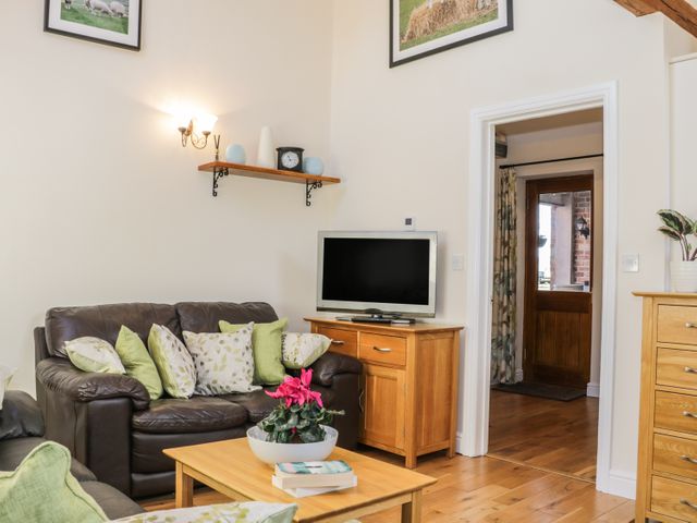 Clun Forest Cottage - 970629 - photo 5