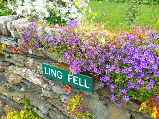 Ling Fell Cottage - 971558 - photo 2