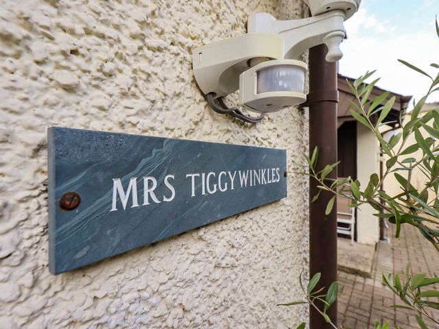 Mrs Tiggywinkles - 972586 - photo 2