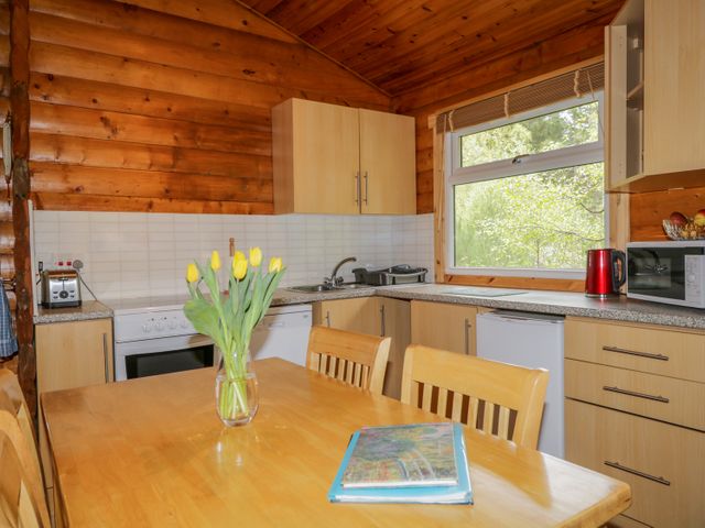 Eagle Lodge - 974034 - photo 3