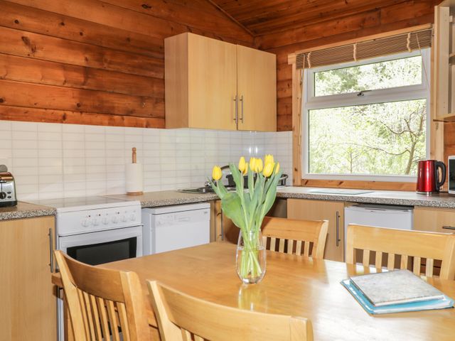 Otter Lodge - 974036 - photo 5