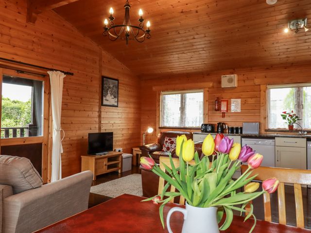 Cedar Lodge - 974713 - photo 3