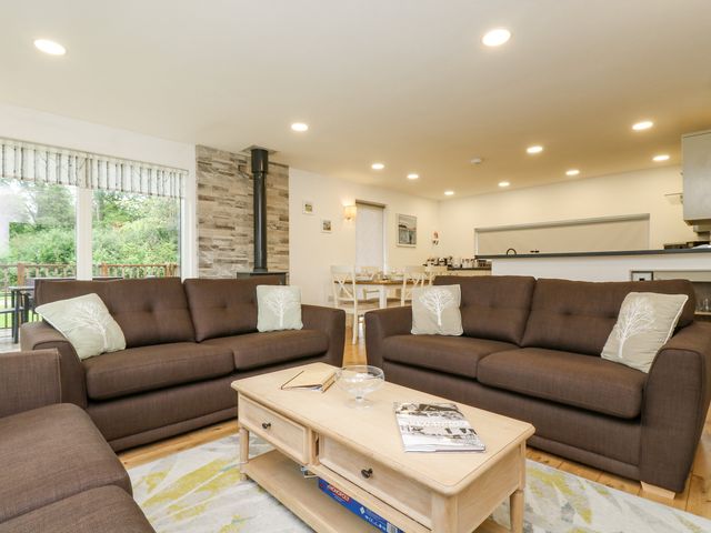 Birch - 975171 - photo 5