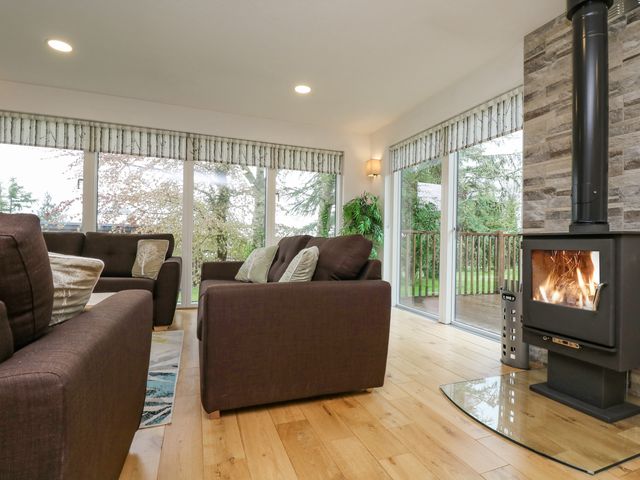 Birch - 975171 - photo 3
