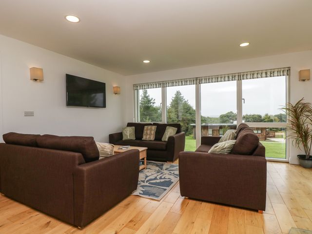 Hazel - 975173 - photo 5