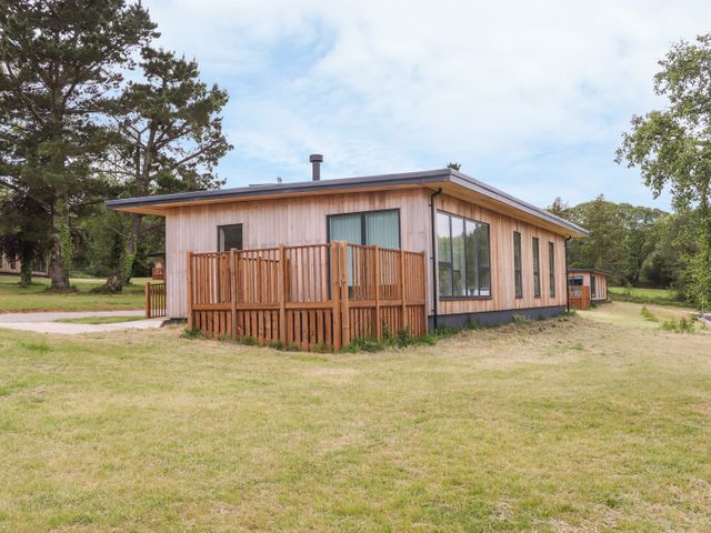 Oak - 975177 - photo 2