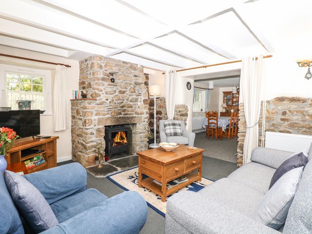 Badger Cottage - 976529 - photo 3
