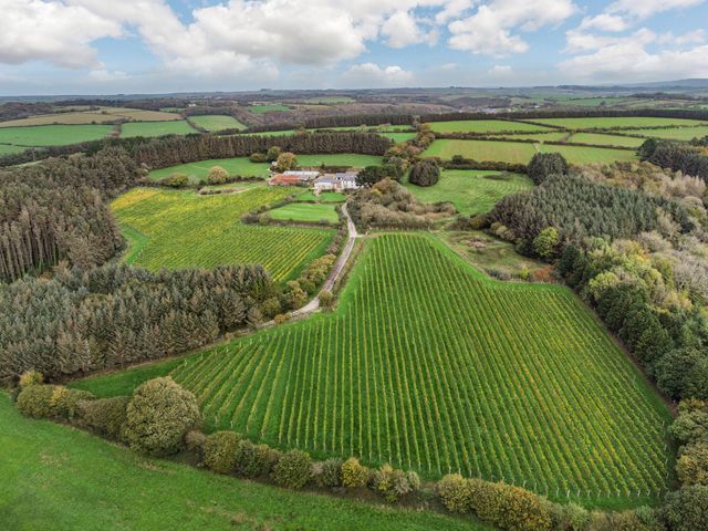 Tregoninny Vineyard and Woodland Farmhouse - 978617 - photo 3