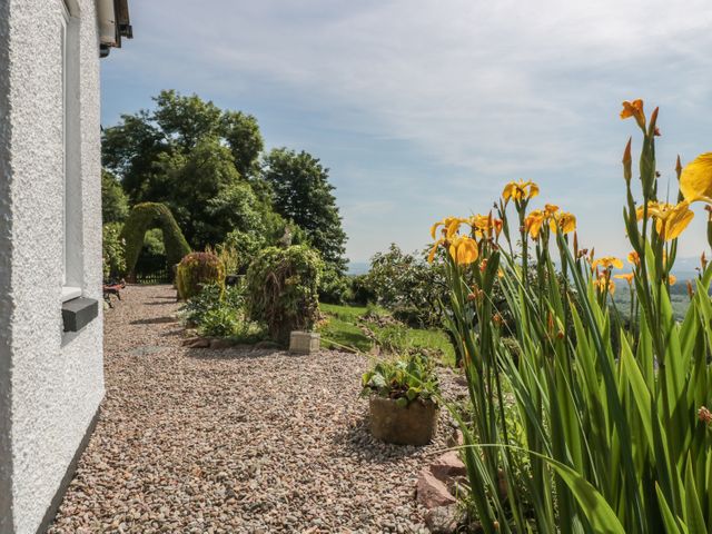 Lilac Cottage - 979504 - photo 3