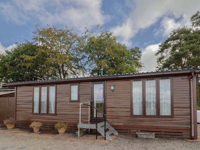 The Cabin at East Hill Pride - 980338 - photo 2