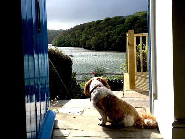 Fal River Cottage - 981922 - photo 5