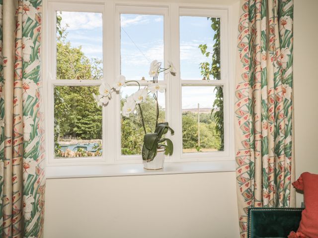 Newbiggin Cottage - 982916 - photo 5