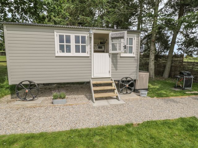 Bellwether - 986040 - photo 3