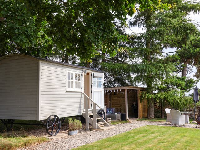 Bellwether - 986040 - photo 2