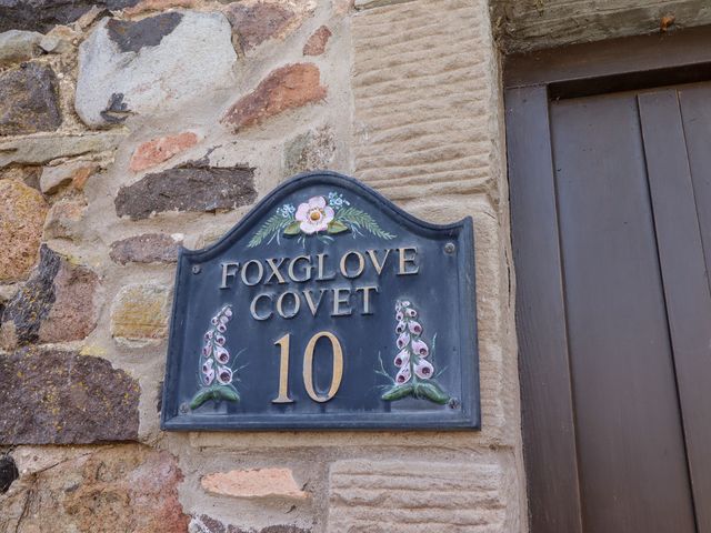 Foxglove Covet - 986494 - photo 2