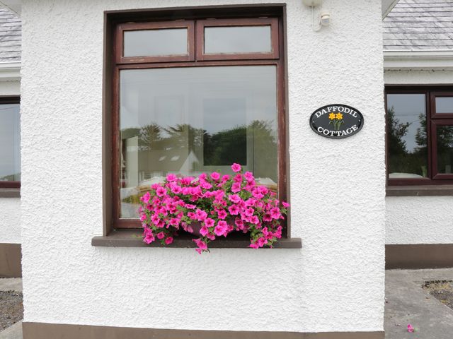 Daffodil Cottage - 988855 - photo 3