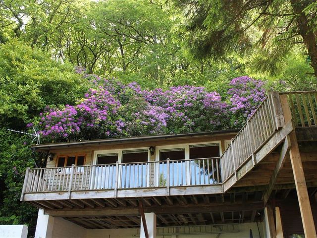 Treetops - 988920 - photo 3