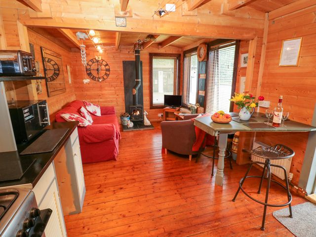 The Lodge - 993724 - photo 5