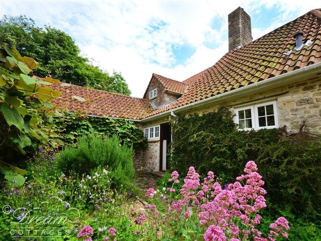 Sixpenny Cottage - 994658 - photo 2