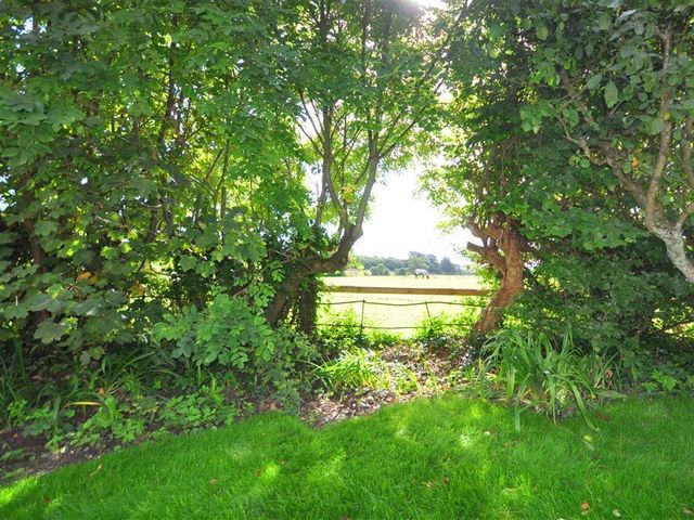 Warmwell Lodge - 994760 - photo 2