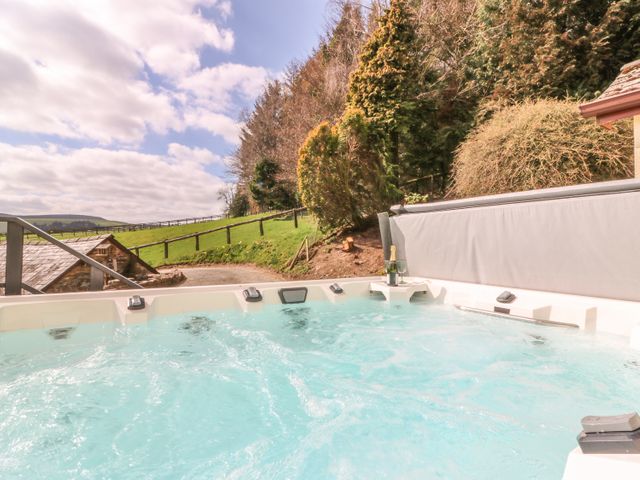 Treboeth - 996559 - photo 2