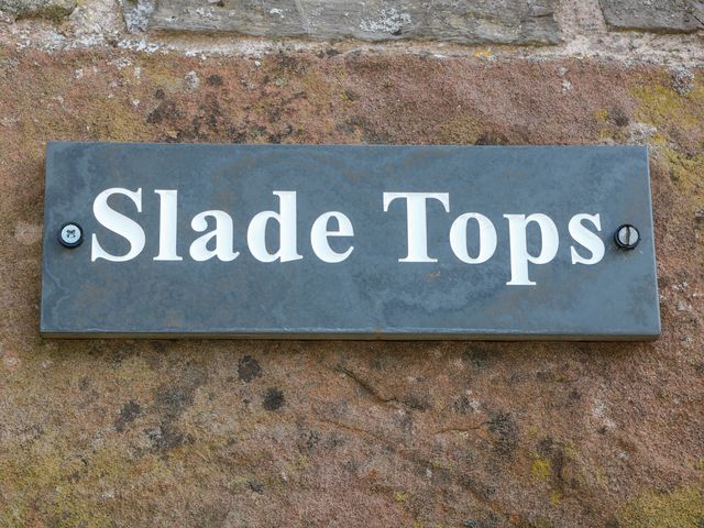 Slade Tops - 998679 - photo 4