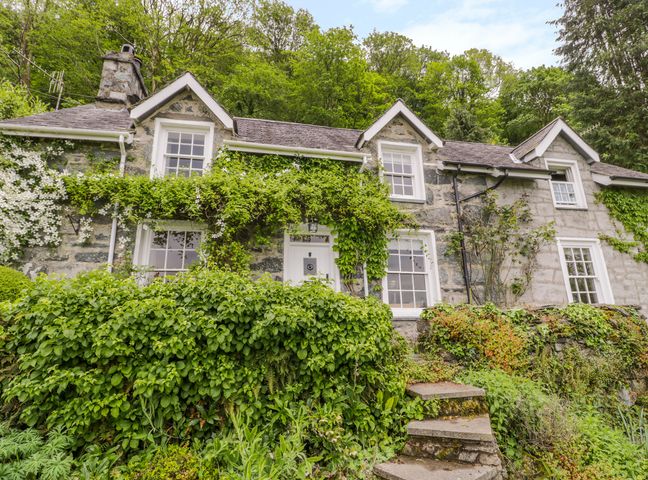 Stone cottage with green vines on the walls and steps leading to the door surrounded by trees and shrubs at Llety Perygl in Harlech