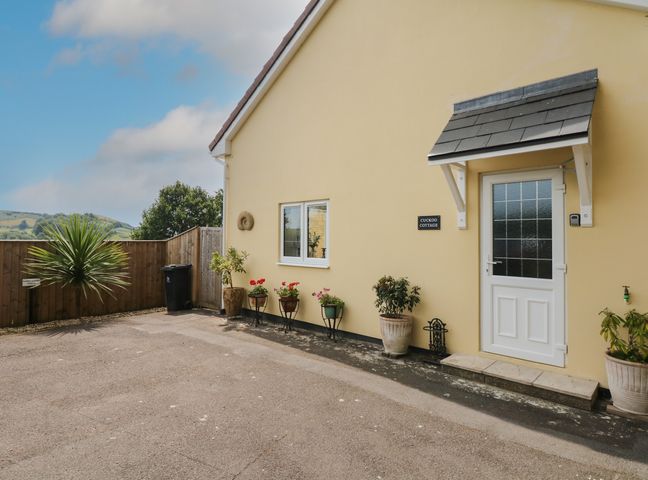 The exterior wall of a yellow building with a white door and window and potted plants along the wall at Cuckoo Cottage in Bridport
