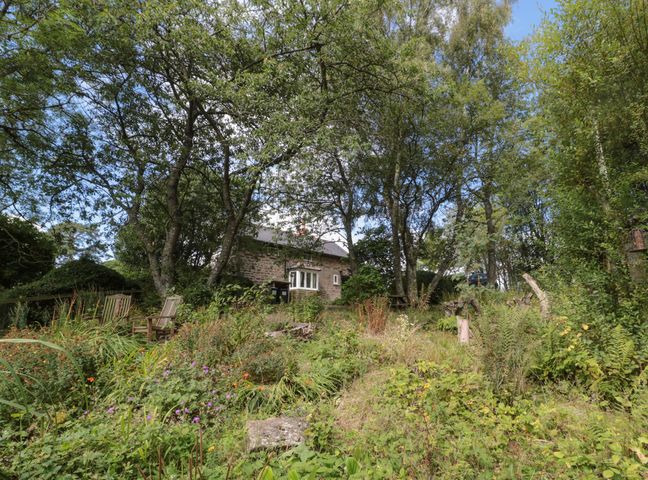 A garden with wooden chairs and table among trees and plants with a stone house in the background at West Burnbank Tarset near Bellingham