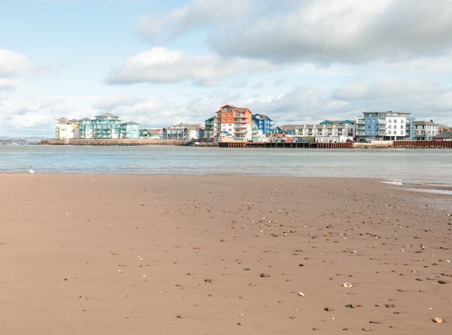 A waterfront scene with sandy beach and scattered stones leading to colorful buildings across the water at Sea Point in Exmouth