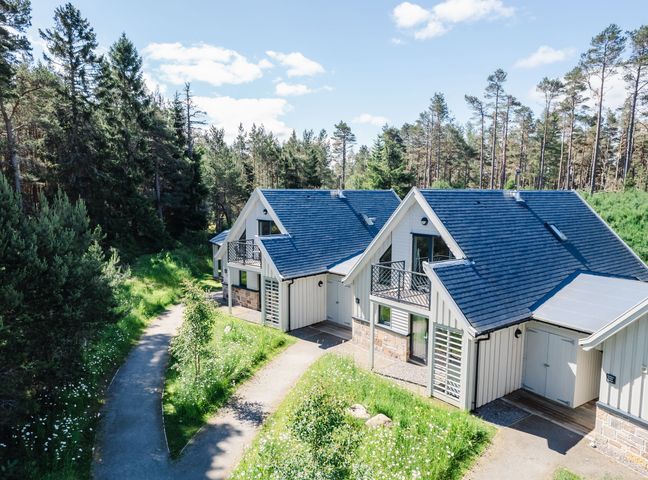 Two white houses with blue roofs near trees and pathways at Wildcat Lodge in Feshiebridge near Aviemore