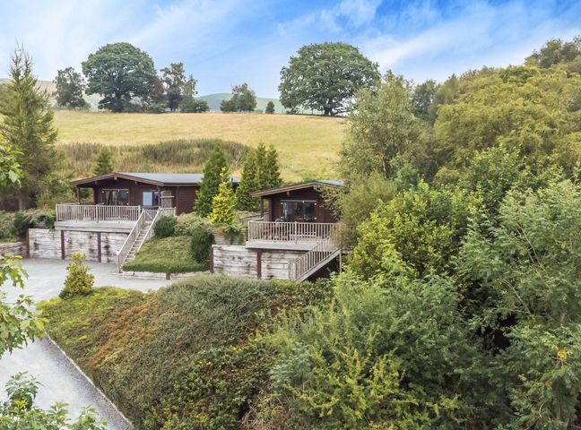 Two wooden cabins with balconies and staircases surrounded by trees and greenery at Sunny View in Rhayader