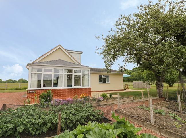 A house with a garden and vegetable beds under a tree at Buttercups at Midway in Kington