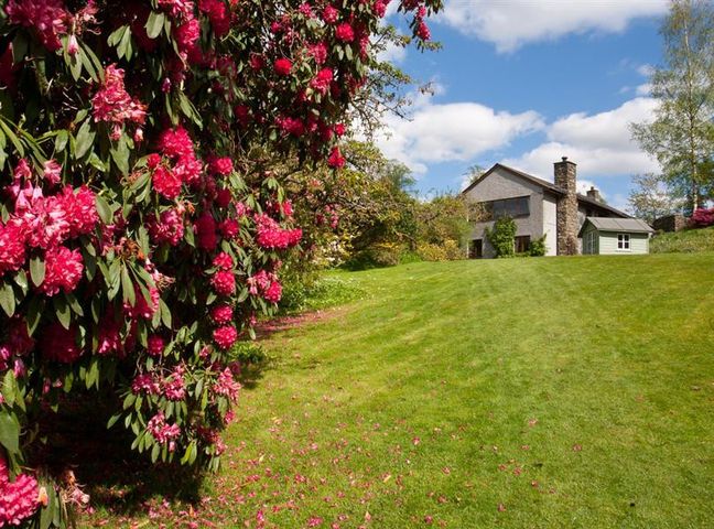 A house in the background with a grassy lawn and pink flowering bushes in the foreground at The Grange Lodge in Windermere