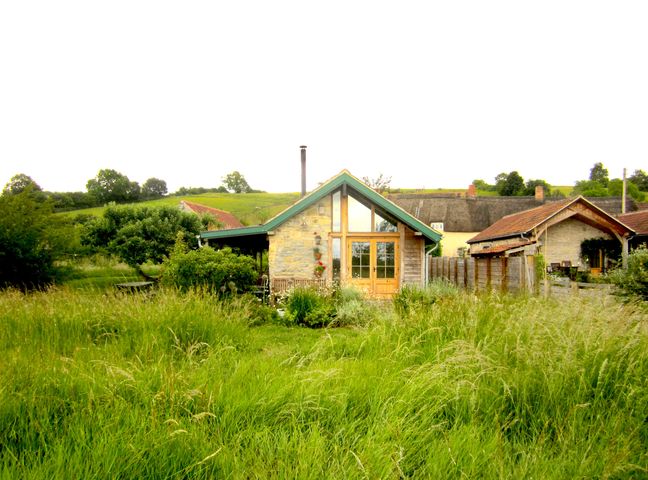 A stone cottage with large glass doors and a green roof surrounded by tall grass and bushes at Old Cary Cottage Henley near Langport