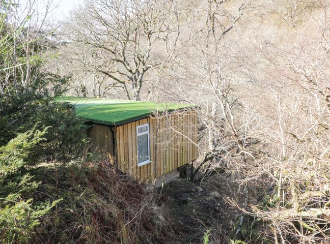 A small wooden cabin with a green roof surrounded by leafless trees and bushes at The River Lodge in Oban