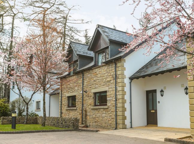 A stone and white exterior house with blossoming trees in front at Honeybee Cottage in Berrier near Penruddock