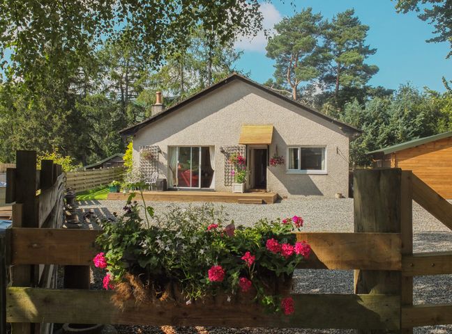 A single-story house with a wooden deck and patio furniture surrounded by trees and a wooden fence at Beechwood Cottage in Blair Atholl