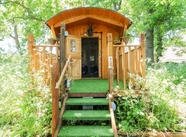 A wooden cabin with a small porch and green carpeted steps surrounded by trees and plants at Hugatree in Little Dunham near Litcham