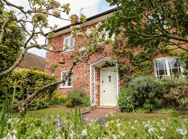 The front entrance of a stone house with a white door surrounded by plants and flowers at Vine Cottage in Dunster