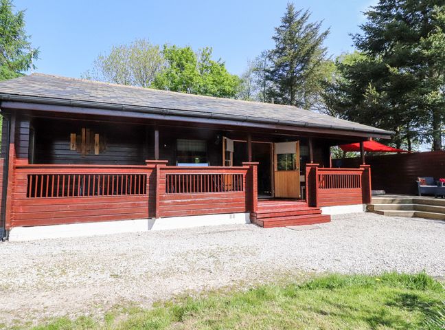 A wooden cabin with a porch and steps surrounded by trees at Gisburn Forest Lodge in Tosside near Wigglesworth