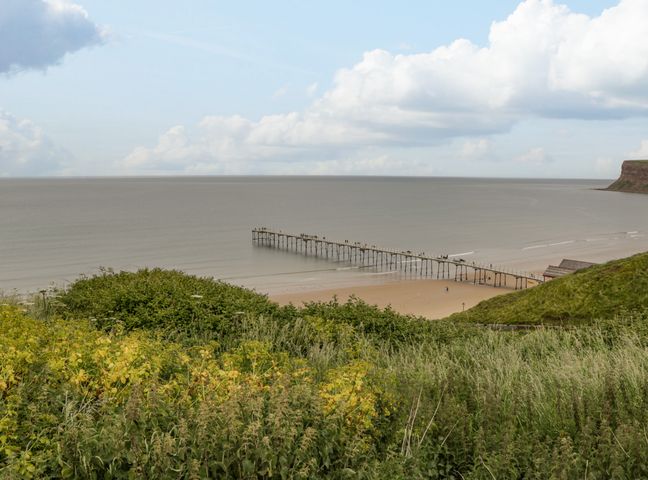 A pier extending over the sea with a sandy beach and grassy hills in the foreground at Bluewater View in Saltburn-By-The-Sea